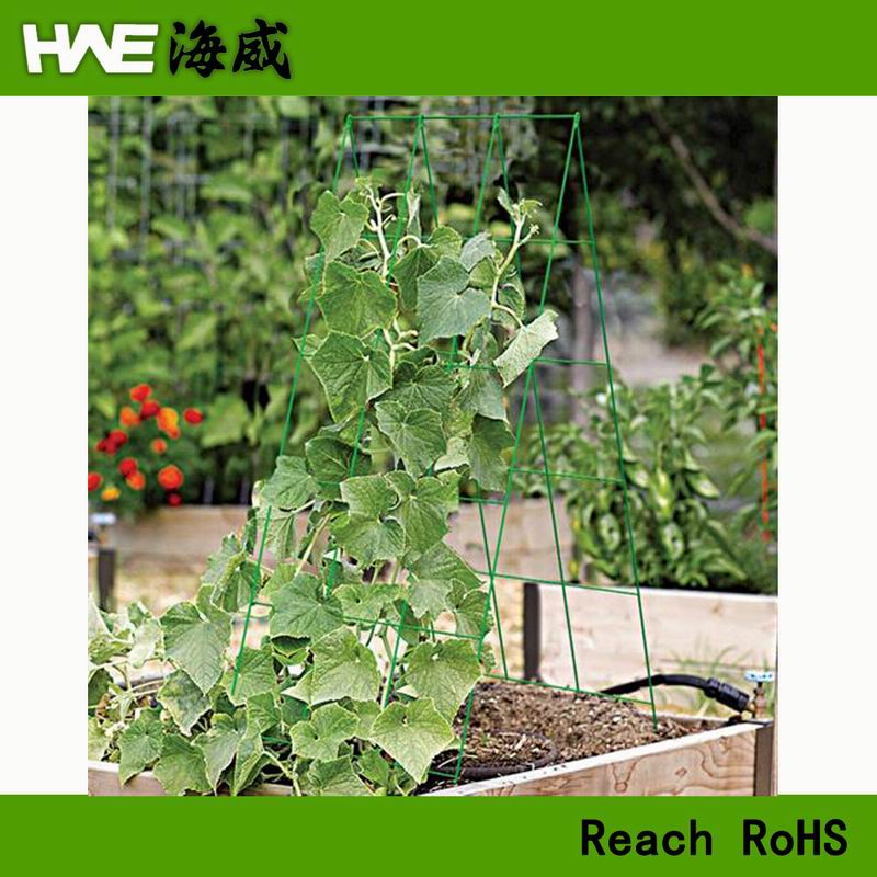Metal trellis Flexible Plant Climbing Support Tomato cage