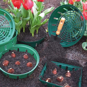 H12 Plastic Bulb Planting Baskets  Trays.jpg